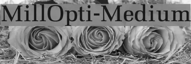 MillOpti-Medium Example 3
