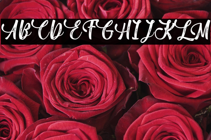 MillaCillaPersonalUse Example 3