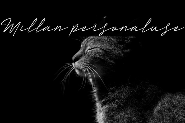 Millan personaluse Example 2