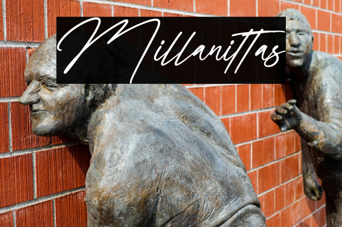 Millanittas Example 2