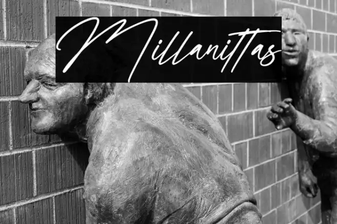 Millanittas Example 2