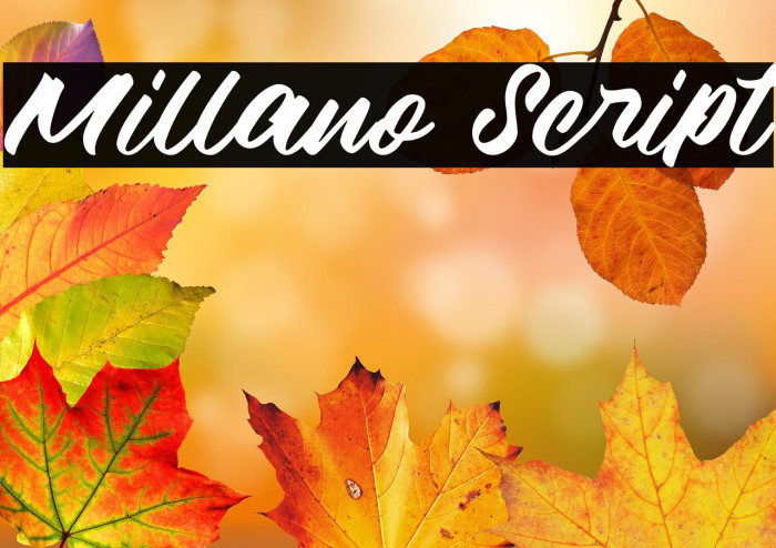 Millano Script Example 3