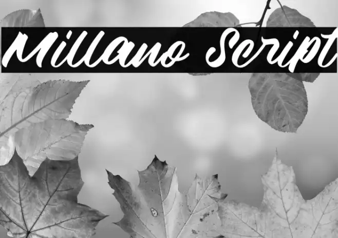Millano Script Example 3