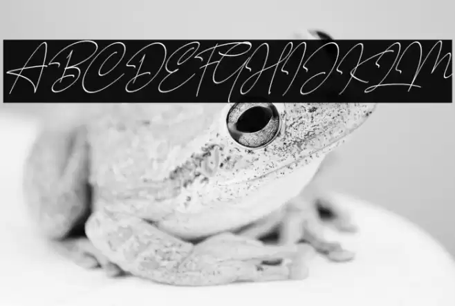 Millano Font examples