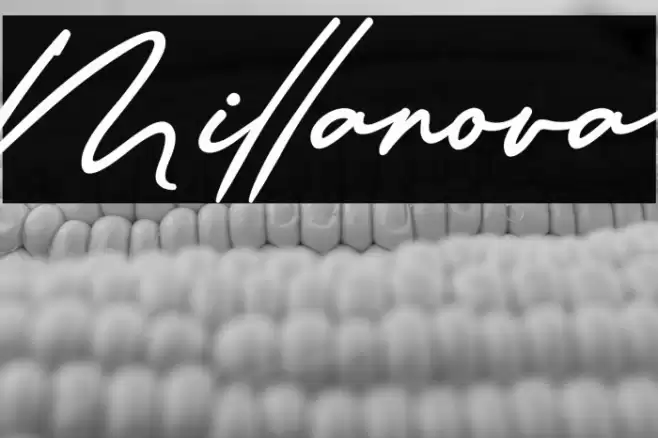Millanova Font examples