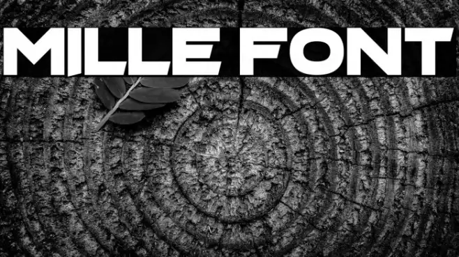 Mille Example 2