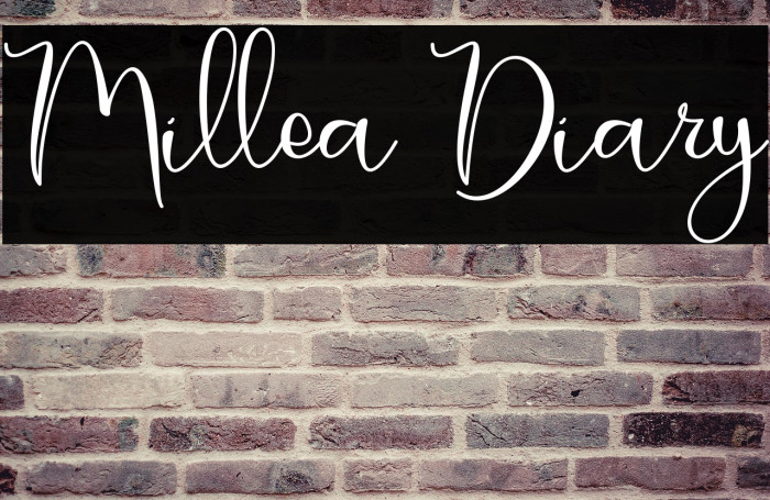 Millea Diary Example 2