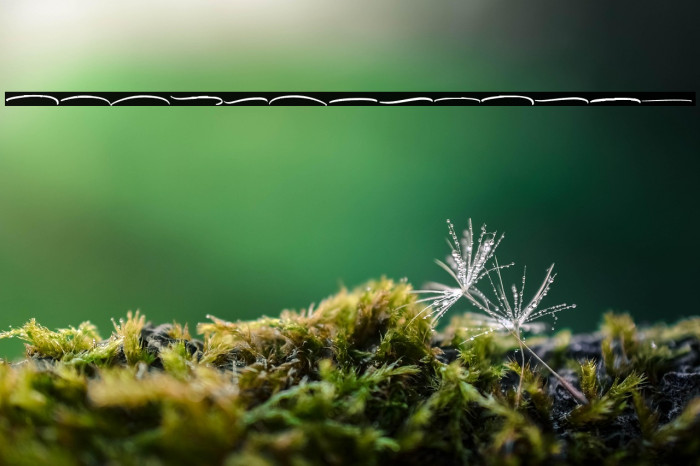 Millea Swash Example 1