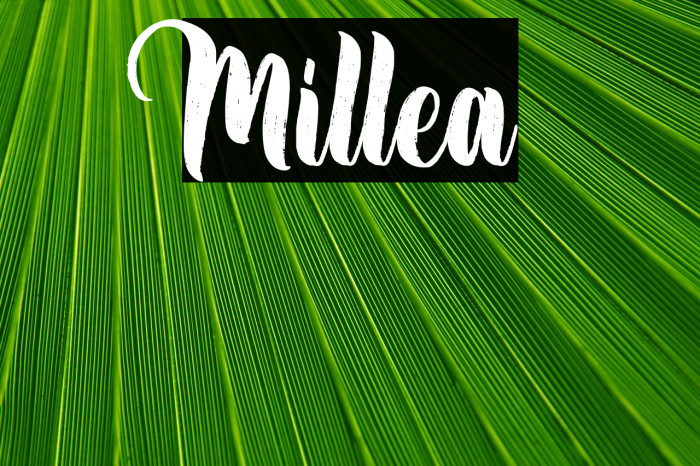 Millea Example 2
