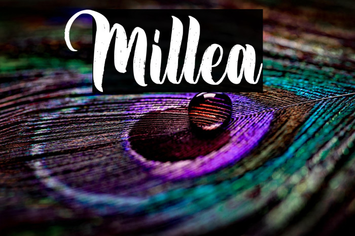 Millea Example 3