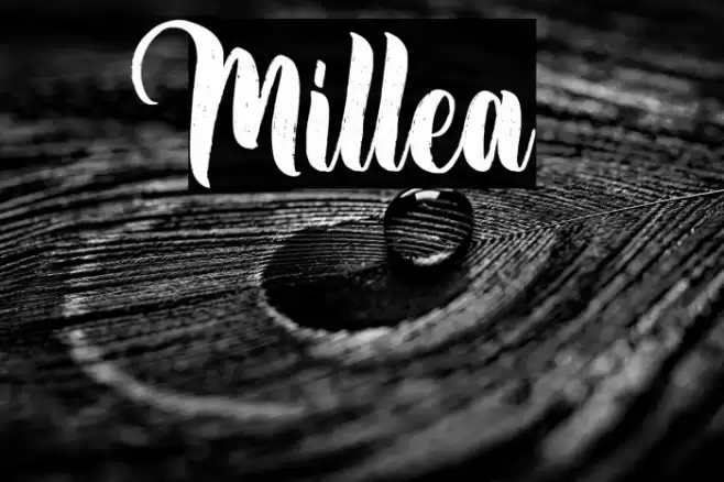 Millea Font examples