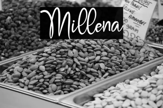 Millena Example 2