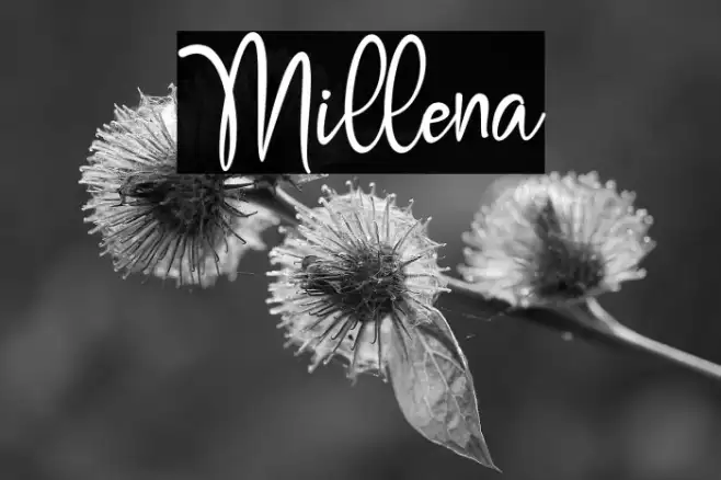 Millena Example 3