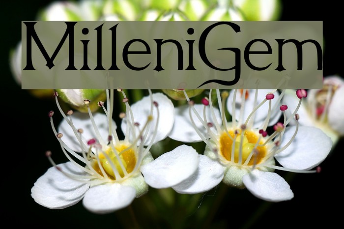 MilleniGem Font examples