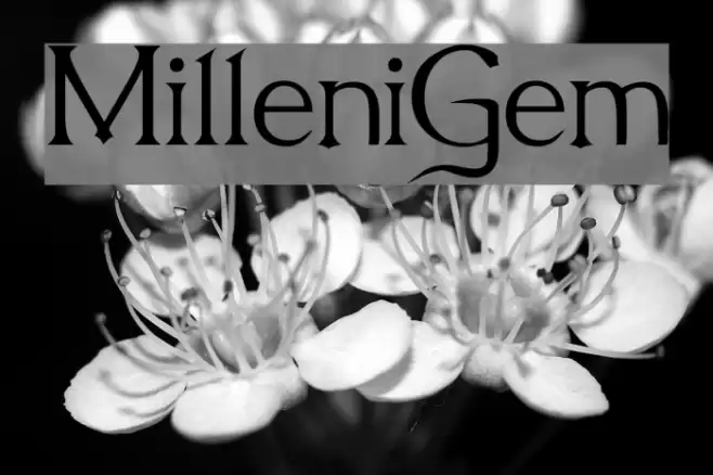 MilleniGem Fuentes examples