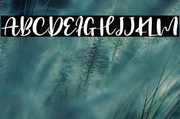 Millenial Script - Personal Use Example 3