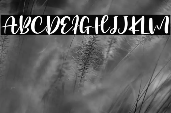Millenial Script - Personal Use Example 3