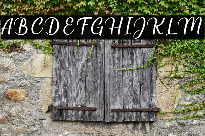 Millenial Script Regular Example 1