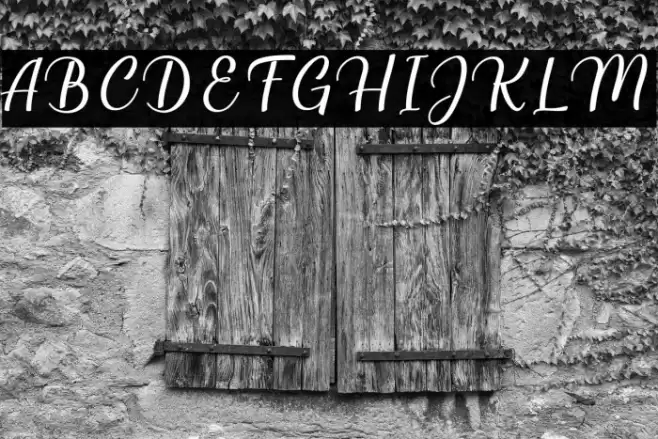 Millenial Script Regular Font examples