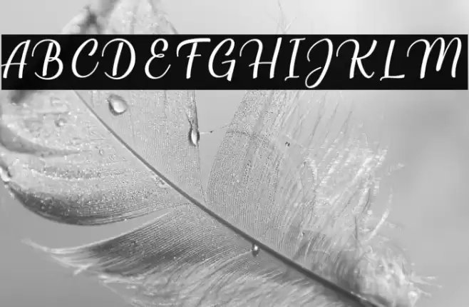 Millenial Script Regular Font examples