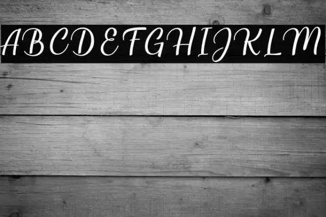 Millenial Script Regular Font examples