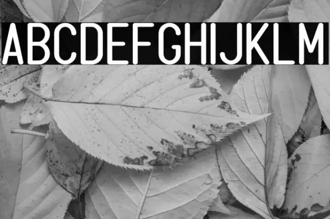 Milleniale Personal Use Only Font examples