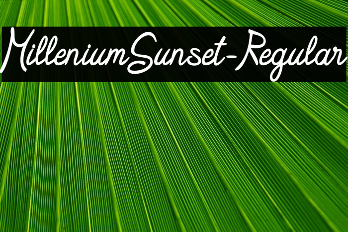 MilleniumSunset-Regular Example 2