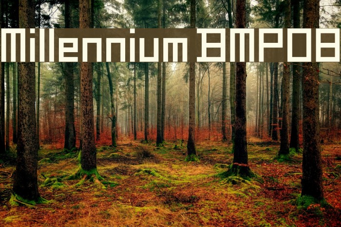 Millennium BMP08 Example 1