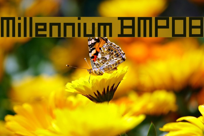 Millennium BMP08 Example 2