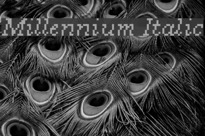 Millennium Italic Font examples