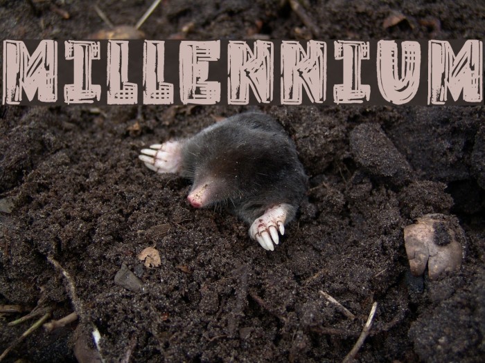 Millennium Font examples