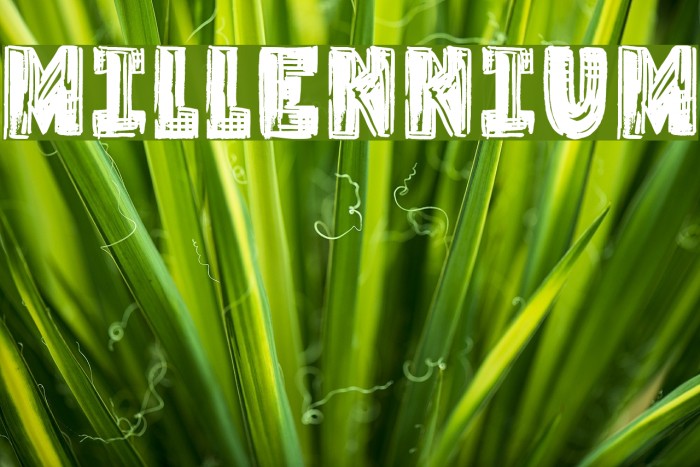 Millennium Font examples