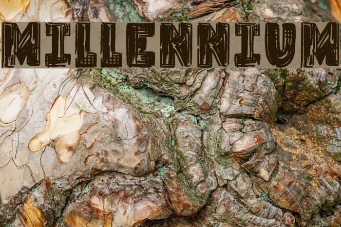 Millennium Font examples