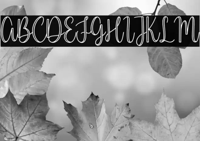 Millerline Font examples