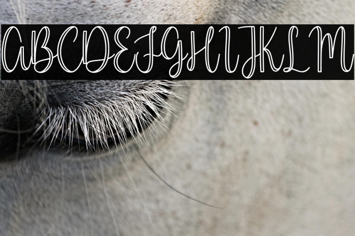 Millerline Example 3