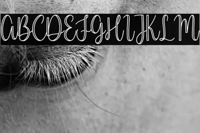 Millerline Font examples