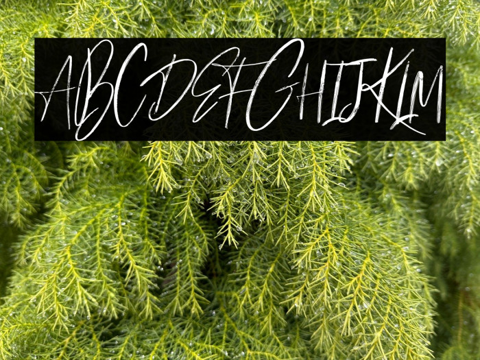 Milles handwriting Demo Regular Example 2