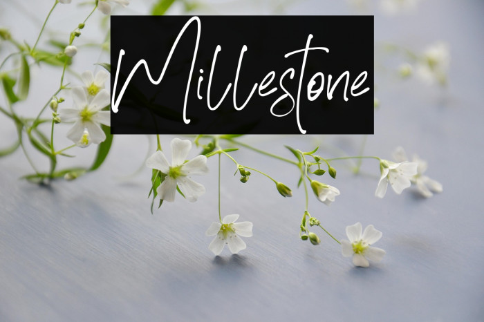 Millestone Example 3