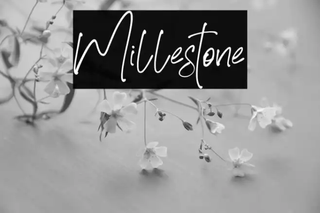 Millestone Example 3