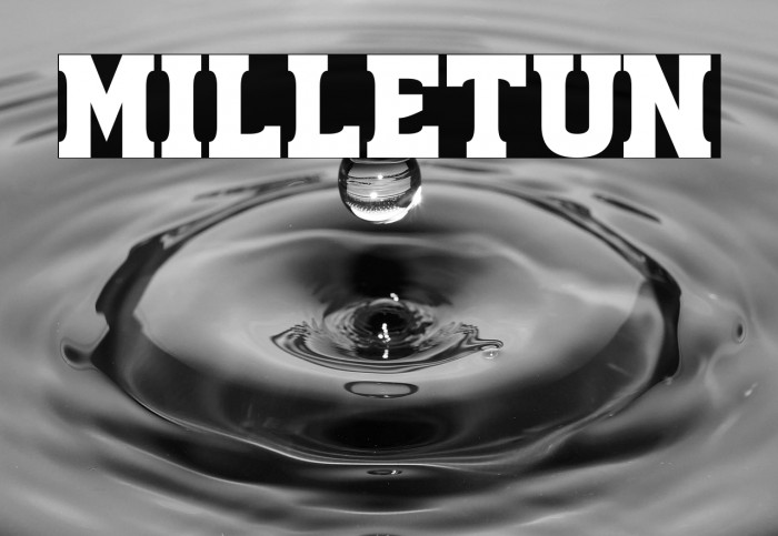 Milletun Example 1