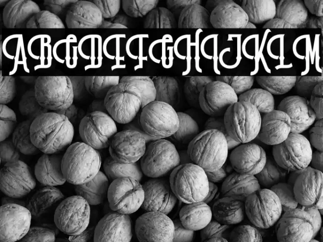 MillgroveDEMO Font examples