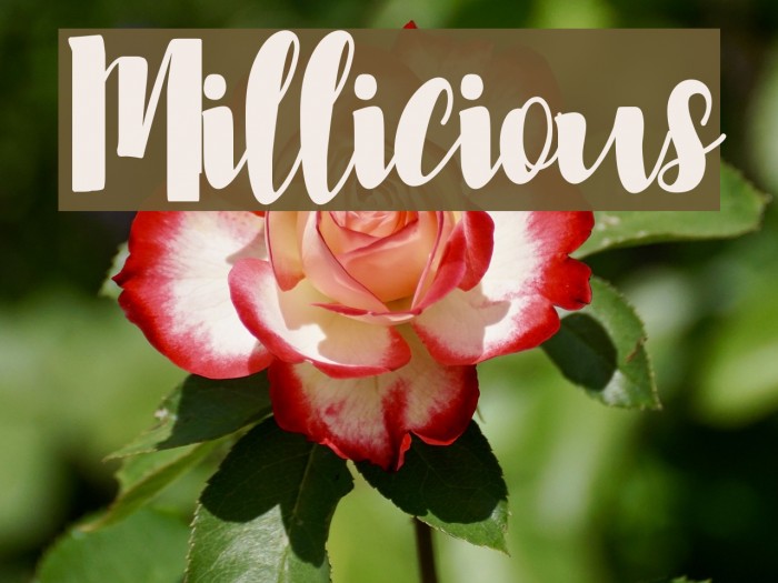 Millicious Example 2