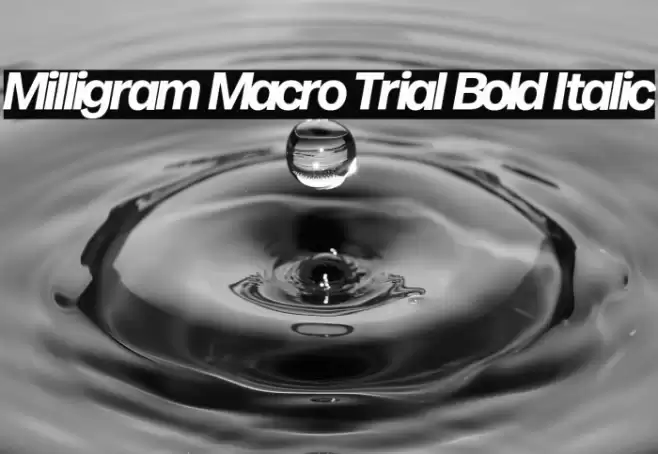 Milligram Macro Trial Bold Italic Font examples