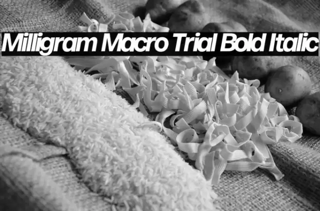 Milligram Macro Trial Bold Italic Font examples