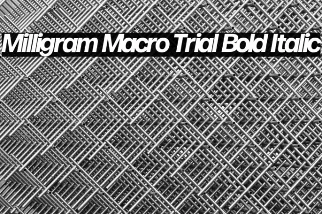 Milligram Macro Trial Bold Italic Font examples