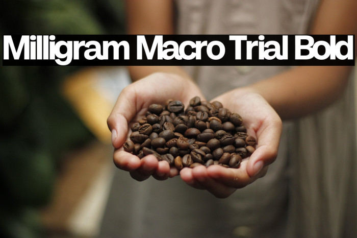 Milligram Macro Trial Bold Example 1