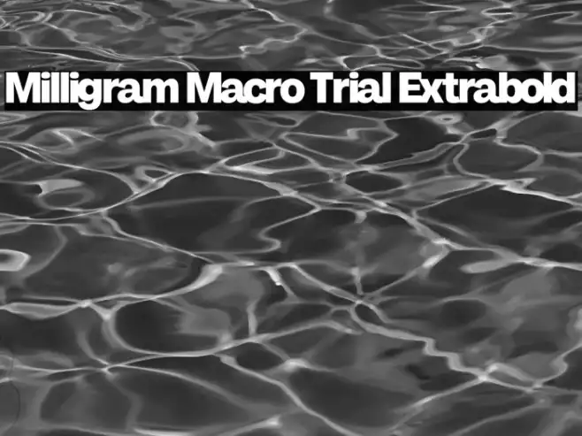 Milligram Macro Trial Extrabold Example 3