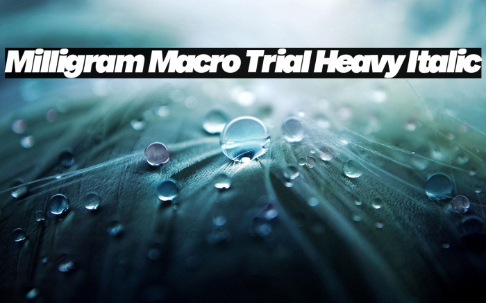 Milligram Macro Trial Heavy Italic Example 1