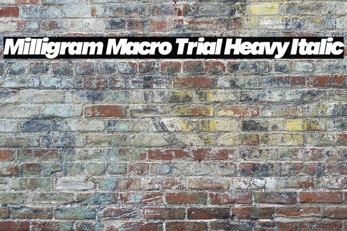 Milligram Macro Trial Heavy Italic Example 2