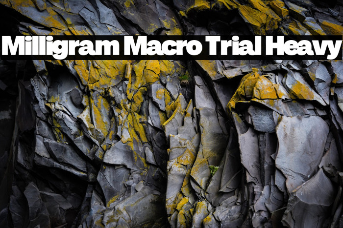 Milligram Macro Trial Heavy Example 3